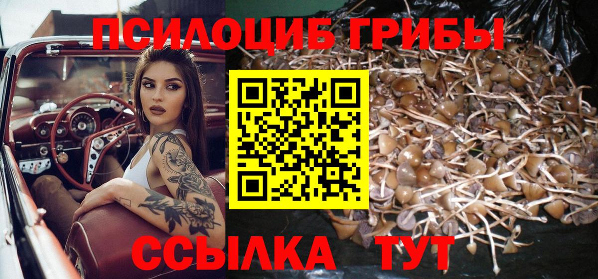 Волгоград  Псилоцибиновые грибы Psilocybe  Вход с VPN  Псилоцибиновые грибы MAGIC MUSHROOMS 